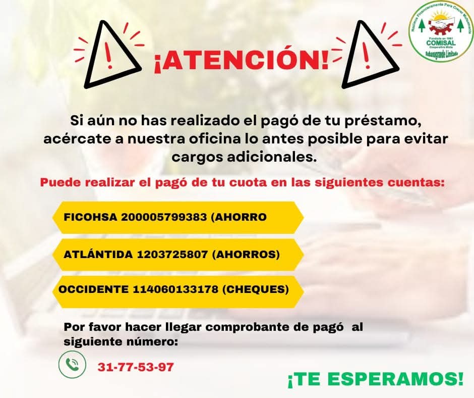Imagen de WhatsApp 2025-03-17 a las 11.42.28_d53aeec7